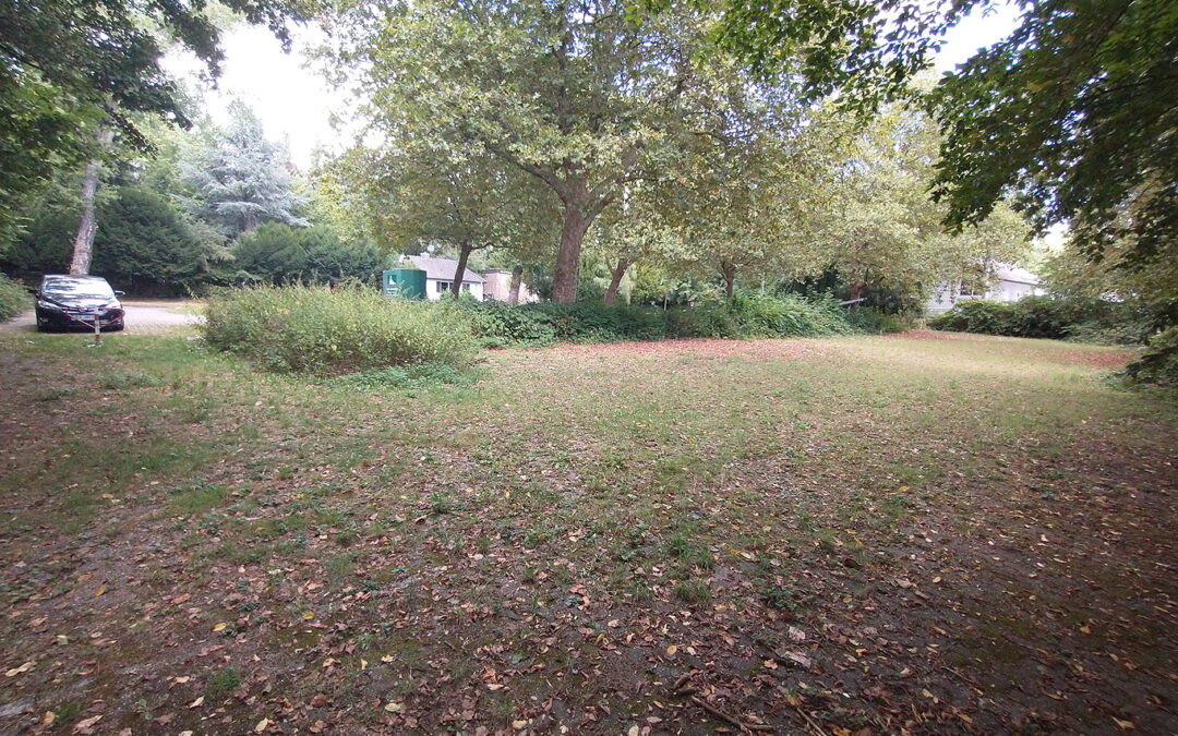 Seit 18 Monaten Stillstand auf ehemaliger Blumenfriedhof-Parkplatzfläche